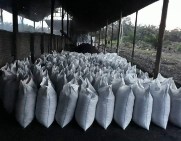 PKS Charcoal Indonesia