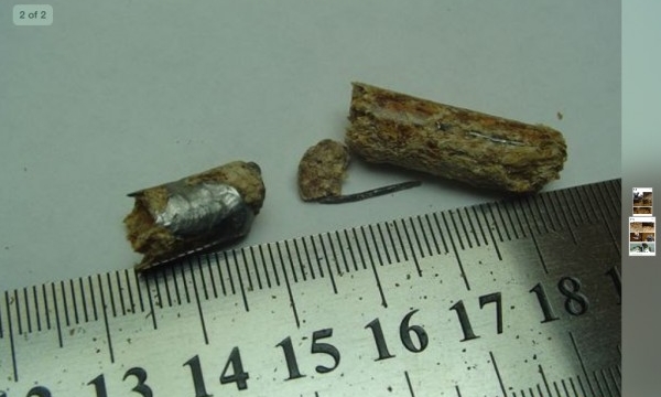 Wood pellets: Contamination