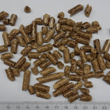 WPI2021003: Industrial wood pellets - Germany