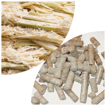 Sugar cane residue (Bagasse)