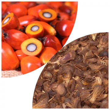 Palm kernel shells (PKS)