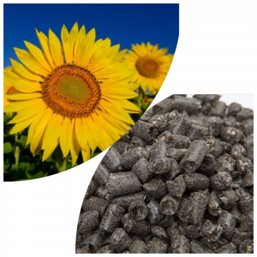 Sunflower husk pellets