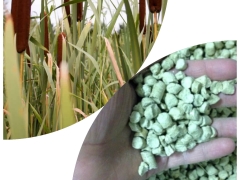 Reed pellets