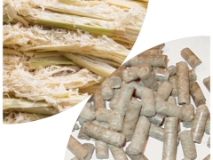 Sugar cane residue (Bagasse)