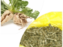 Sugar beet pellets