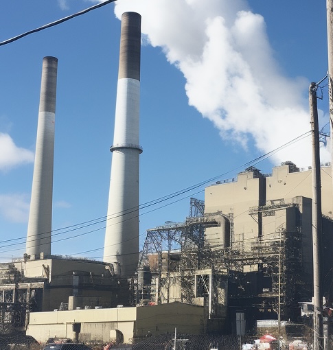 For biomass buyers / endusers